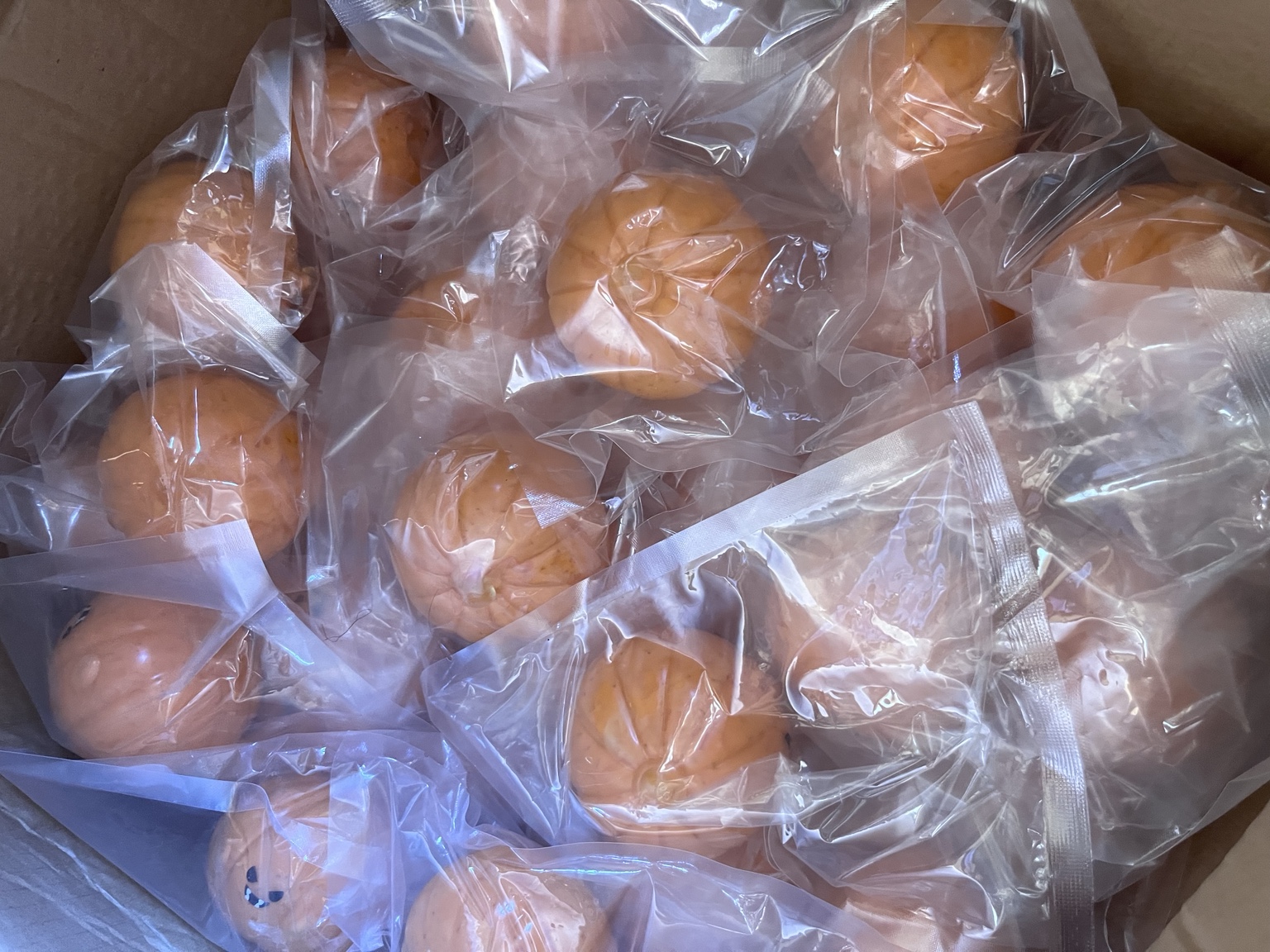 Crunchy Pumpkin Squishy